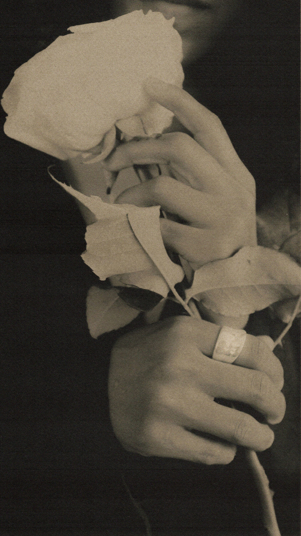 Black and white photo of a hand with a silver ring holding a wilted flower against a dark background