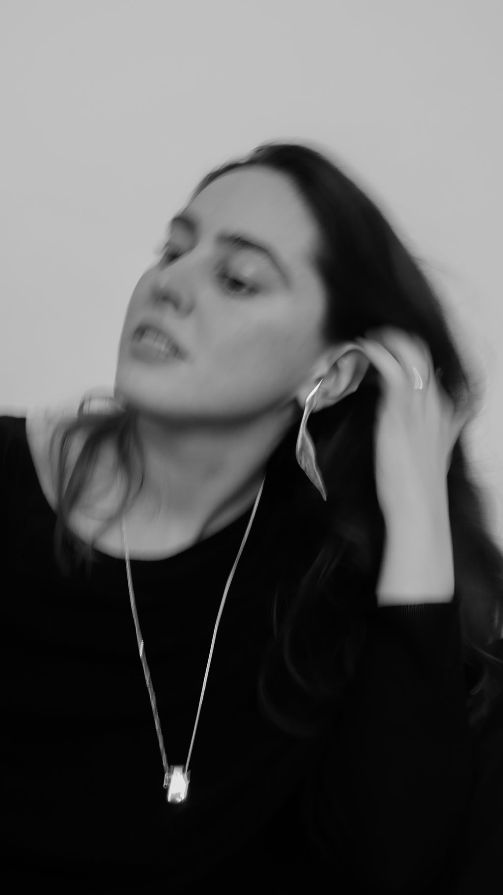 Garzas Earrings