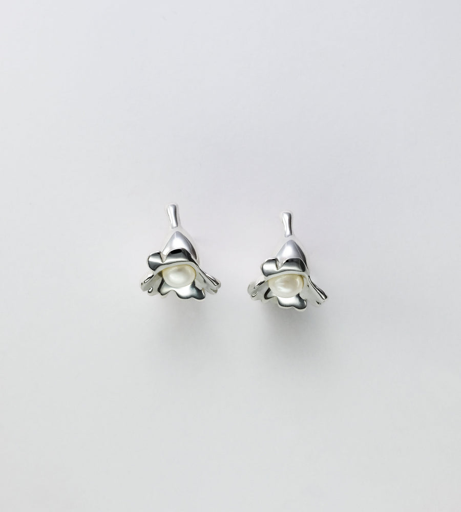 Pair of silver earrings on a light gray background