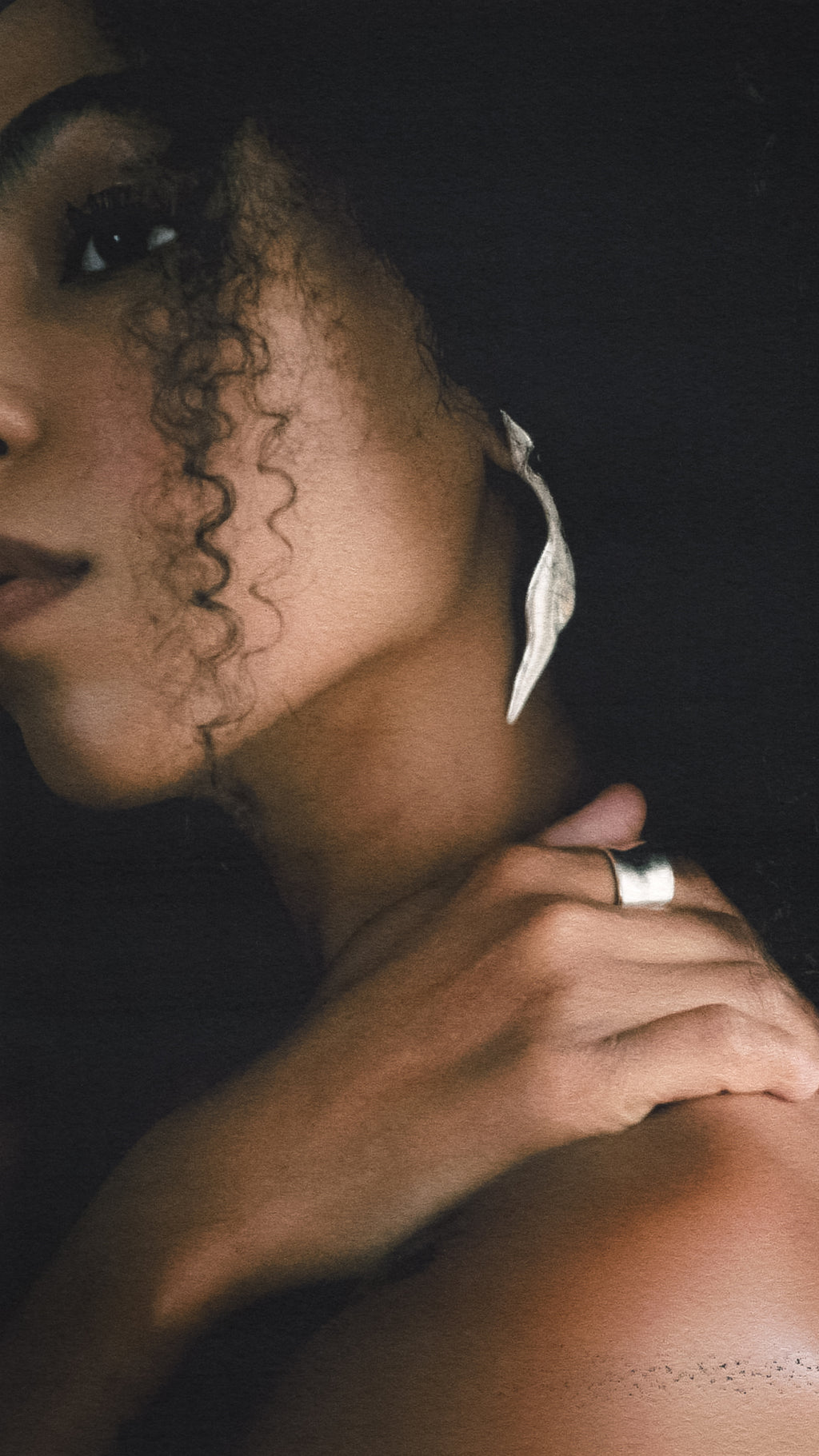 Garzas Earrings